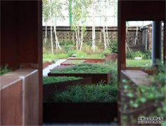 corten steel planters